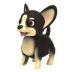 Cutesy pet hond