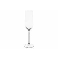 Cosy&Trendy Grace Champagne Glass - 220ml - Verre - 3 Pièces - Marque Cosy & Trendy