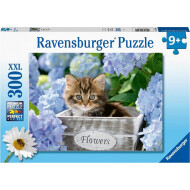 Ravensburger Puzzle Chaton - Dès 9 ans - 300 pièces - Age à partir de 9 ans