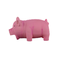 29630016