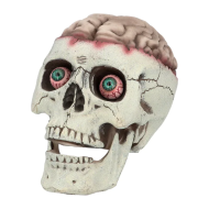 Crâne Brain Dead avec Mâchoire Articulée - 18x13x15cm - Beige