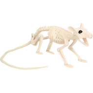 Décoration Squelette Rat Nibbles - 46x7x10cm - Blanc