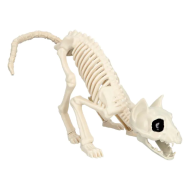 Squelette de Chat Décoration - 49x18x14cm - Blanc