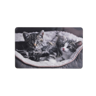 Ricolor Planche à Découper Kittys - 23,5x14,5cm - Plastique