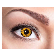 LENZEN 1 WEEK TWILIGHT