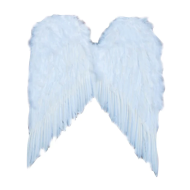 VLEUGELS ENGEL WIT 60X50CM