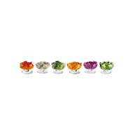 Set of 6 clear tasting glasses - Marque Euro Taste