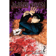 Jujutsu Kaisen Vol. 2 - Gege Akutami - Manga - Paperback - Engels - Hoofdauteur Gege Akutami