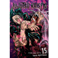 Jujutsu Kaisen Vol. 15 - Gege Akutami - Manga - Paperback - Engels - Hoofdauteur Gege Akutami