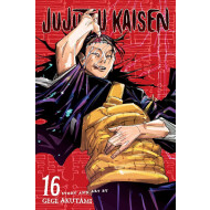 Jujutsu Kaisen Vol. 16 - Gege Akutami - Manga - Paperback - Engels - Hoofdauteur Gege Akutami