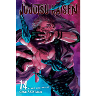 Jujutsu Kaisen Vol. 14 - Gege Akutami - Manga - Paperback - Engels - Hoofdauteur Gege Akutami