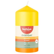 Bolsius Everyday Stompkaars - 110x58mm - Brandduur 30u - Mango Sorbet Geur - Geel/Oranje - Merk Bolsius - Aantal branduren 60u