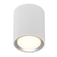 Nordlux Led Plafondspot - Dimbaar - Ø10x12cm - Metaal - Wit/Staal - Kleur Staal,Wit - Type lamp LED - Fitting Nvt - Materiaal Metaal