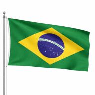 Vlag Brazilië - 30x46cm - Groen