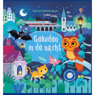 Geluiden in de Nacht - Geluidenboek - Hardcover - Vanaf 2 Jaar - Genre boek Leesboeken - Hoofdauteur Sam Taplin