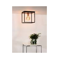Lucide Arthur Plafonnière - 1xE27 - Zwart - Merk Lucide - Fitting E27 - Materiaal Metaal - Aantal lichtpunten 1 - Kleur Zwart - Vermogen 60 W - Dimbaar Ja - Type lamp Lamp niet inbegrepen