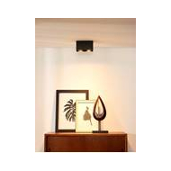 Lucide Bodi Plafondspot - 2xGU10 - Zwart - Merk Lucide - Materiaal Aluminium - Fitting GU10 - Lumen Nvt - Type lamp Lamp niet inbegrepen - Kleur Zwart