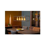 Lucide Ruben Hanglamp - 4xE27 - Zwart - Merk Lucide - Materiaal Metaal - Aantal lichtpunten meer dan 3 - Vermogen 40 W - Kleur Mat Goud,Zwart - Dimbaar Ja - Type lamp Lamp niet inbegrepen - Sensor Nee - Fitting E27