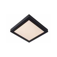 Lucide Brice-LED Plafonnière Badkamer - LED Dimbaar - 1x30W 3000K - IP44 - Zwart - Topper - Merk Lucide - Fitting Nvt - Kleur Zwart - Lumen 2200 Lm - Vermogen 30 W