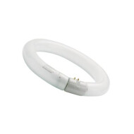 Sylvania Circline Plus T9 - 22W - Koel Wit - Kleur Wit - Aantal lichtpunten 1 - Fitting Nvt - Type lamp Fluorescentielamp - Materiaal Glas