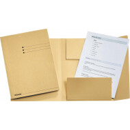 Esselte Chemise à 3 Rabats  A4 - Gems - Marque Esselte - Format A4 - Type de dossier Classeur - Couleur Marron clair