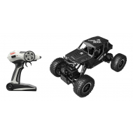 RC Monster Car avec Télécommande - Marque DDD Toys - Age à partir de 10 ans