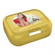 Studio 100 Samson & Marie  Boîte à Lunch- Plastique - Jaune - Couleur Jaune