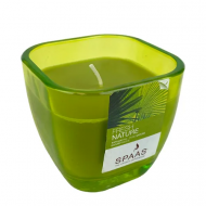 Spaas Fresh Nature Bougie Parfumée en Verre - 30h de Combustion - Vert - Nombre d'heures de combustion 30h