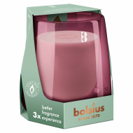 Bolsius Starterkit Clean Light Cedarwood & Vetiver - 20u Brandduur - Merk Bolsius - Aantal branduren 20u
