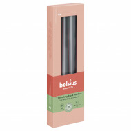 Bolsius Gotische Kaarsen - 20u Brandduur - Ø24mm - H15cm - Stormy Grey - 4 Stuks - Merk Bolsius - Geur Ongeparfumeerd - Aantal branduren 20u - Kleur Donkergrijs