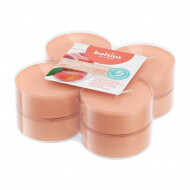 Bolsius True Scents Maxi Geurtheelicht - 8u Brandduur - Ø60mm - Peach - 8 Stuks - Merk Bolsius - Aantal branduren 8u