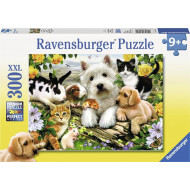 Ravensburger Puzzle Amis Animaux - Dès 9 ans - 300 pièces - Age à partir de 9 ans
