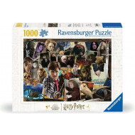 Ravensburger Puzzle Harry Potter Voldemort - Dès 14 ans - 1000 pièces - Age à partir de 14 jaar