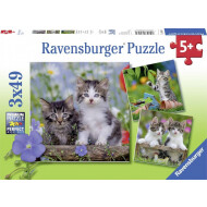 Ravensburger Puzzle Jeunes Chatons - Dès 5 ans - 3x49 pièces - Age à partir de 5 ans