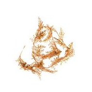 Guirl.noël feuilles bronze 150cm - Marque DDD - Couleur Brun