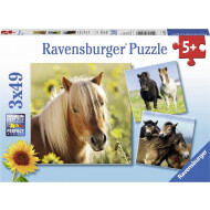 Ravensburger Puzzle Poneys Adorables - Dès 5 ans - 3x49 pièces - Age à partir de 5 ans