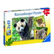 Ravensburger Puzzle Panda/Tigre/Lion - Dès 5 ans - 3x49 pièces - Age à partir de 5 ans