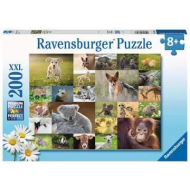 Ravensburger Puzzle Bébé Animaux - Dès 8 ans - 200 pièces XXL - Age à partir de 8 ans