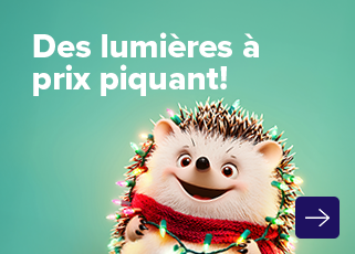 shopping - décorations noel - euro shop