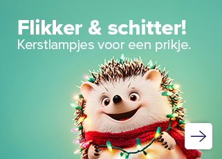 kerstshopping - kerstverlichting - LED kerst lichtjes - euro shop