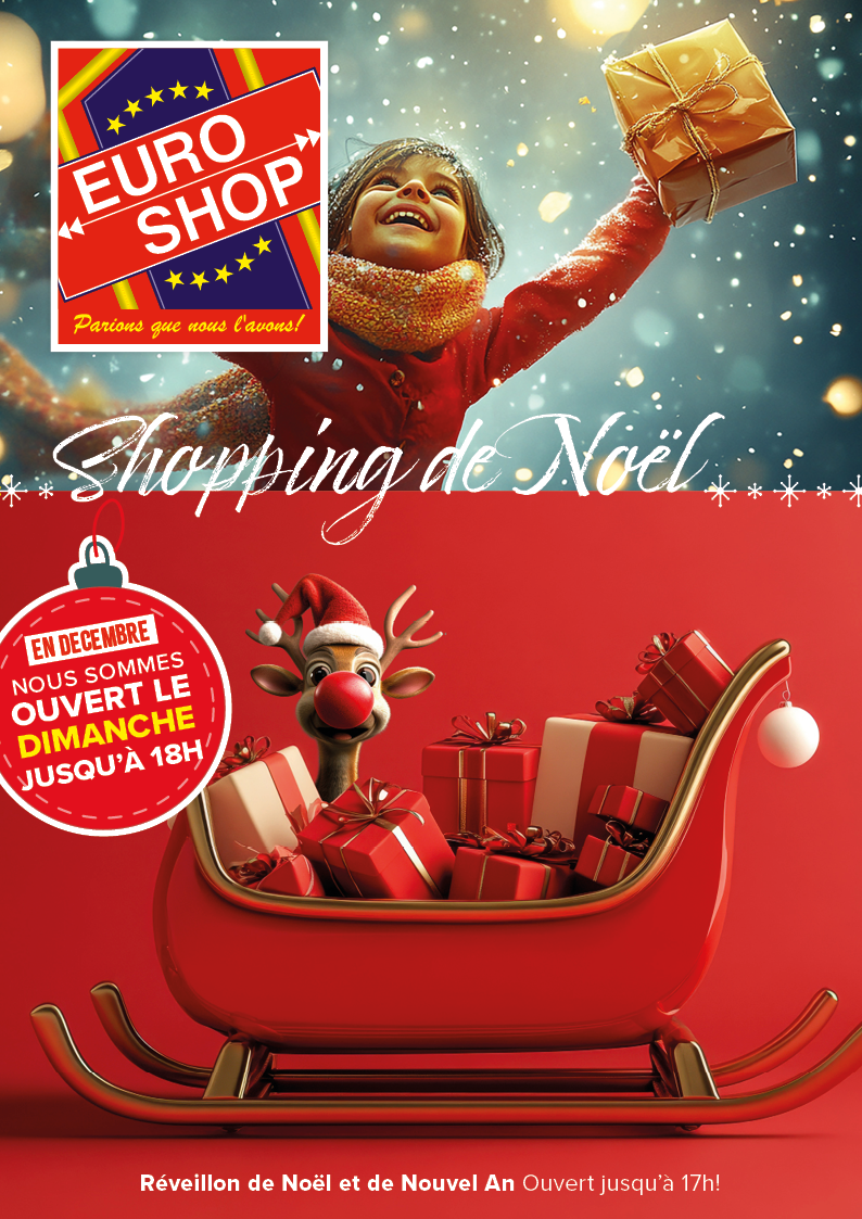sapins de noel - lumieres de noel - promotions - Euro Shop